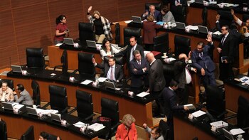 Sólo una parte de los