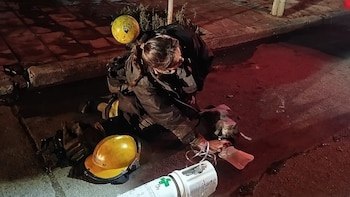 Se incendió una casa en Córdoba: los bomberos auxiliaron a una mujer, a su hijo y rescataron a un gato del fuego