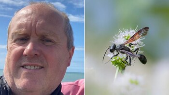 Un hombre fue atacado por