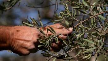 El cambio climático amenaza las