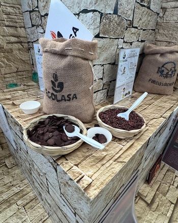 Exposición de cacao en un stand con sacos de yute, cestas con nibs y chips de chocolate, cucharas blancas y carteles informativos