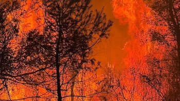El gran pacto climático que el Gobierno vuelve a reclamar tras los incendios: estas son las 80 medidas con las que quiere preparar a España para fenómenos extremos