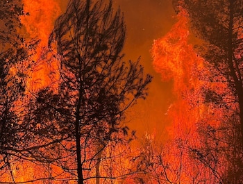Incendio forestal declarado en la localidad castellonense de la Vall d'Uixó (Consorcio Bomberos Castellón)