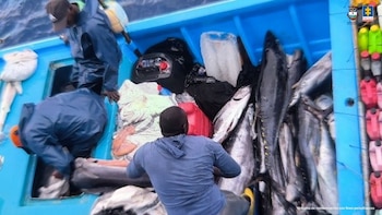 Detenidos ciudadanos ecuatorianos que pescaban