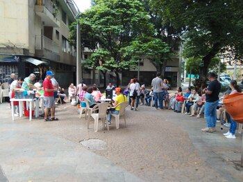 Entrega de cerdos en las JAC de Medellín.