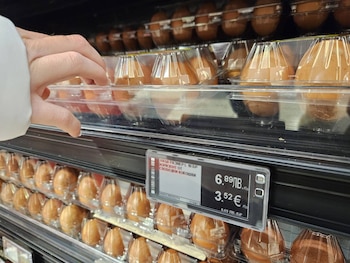 Carteles de euros y levs