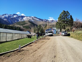Huinganco Museo del Árbol y la Madera