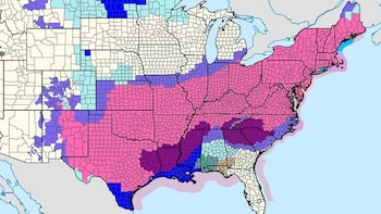 Casi 700.000 clientes están sin