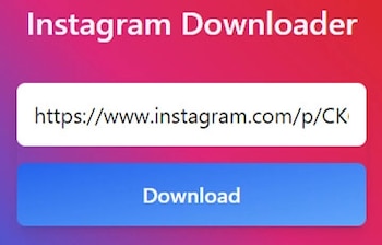 IG Downloader. (foto: Instagram video