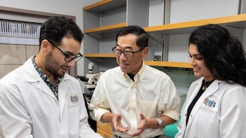 Miembros del equipo de estudio: