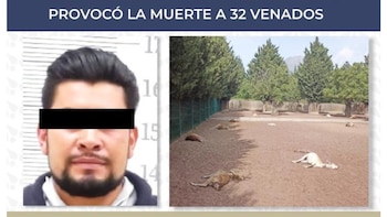 Sentencian a hombre que provocó