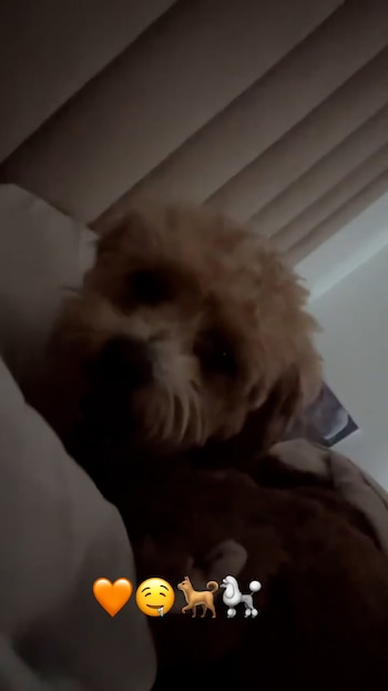 Desde la comodidad de la