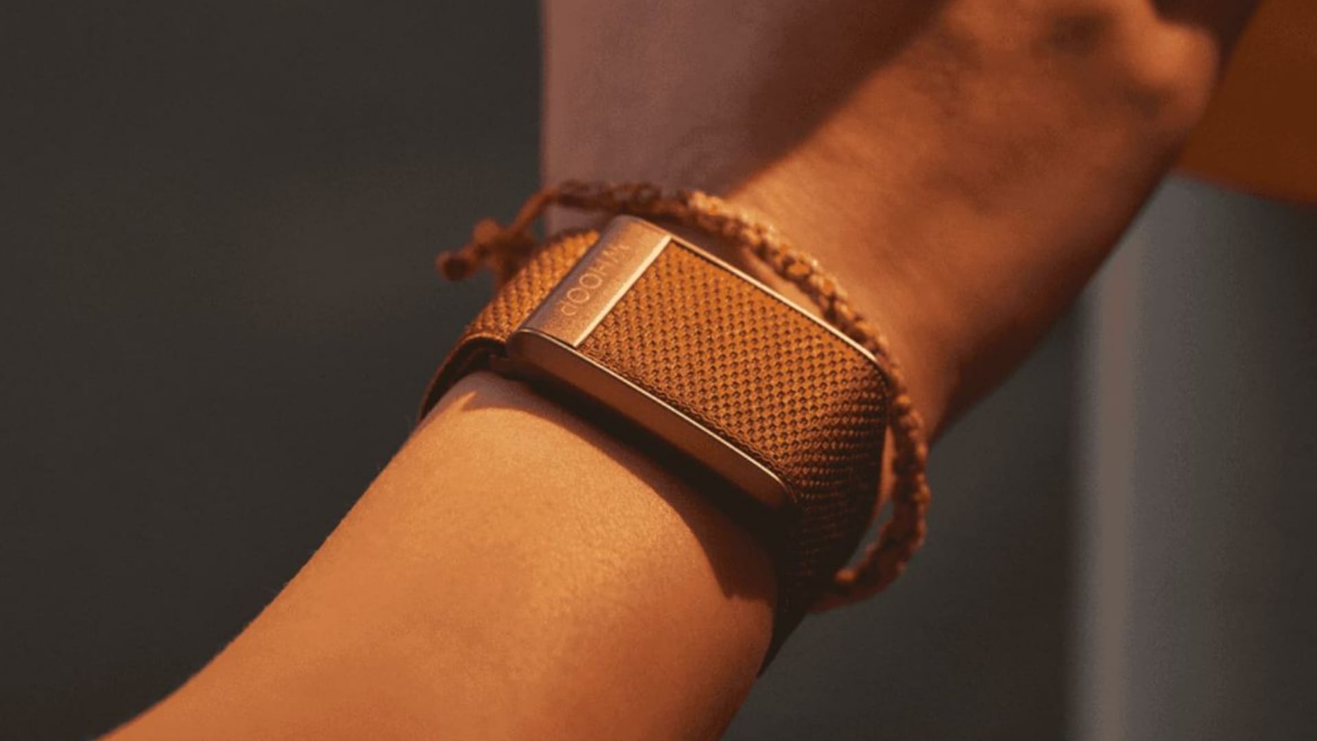 Ejecutivos de Apple estarían de acuerdo con la elaboración de una pulsera inteligente. (touchreviews.net)