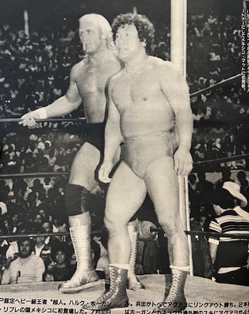 Hogan y Hamada en el