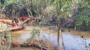 Ministerio de Ambiente de Guatemala