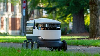 Pequeños robots blancos revolucionan la