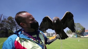 Celeste está en el club