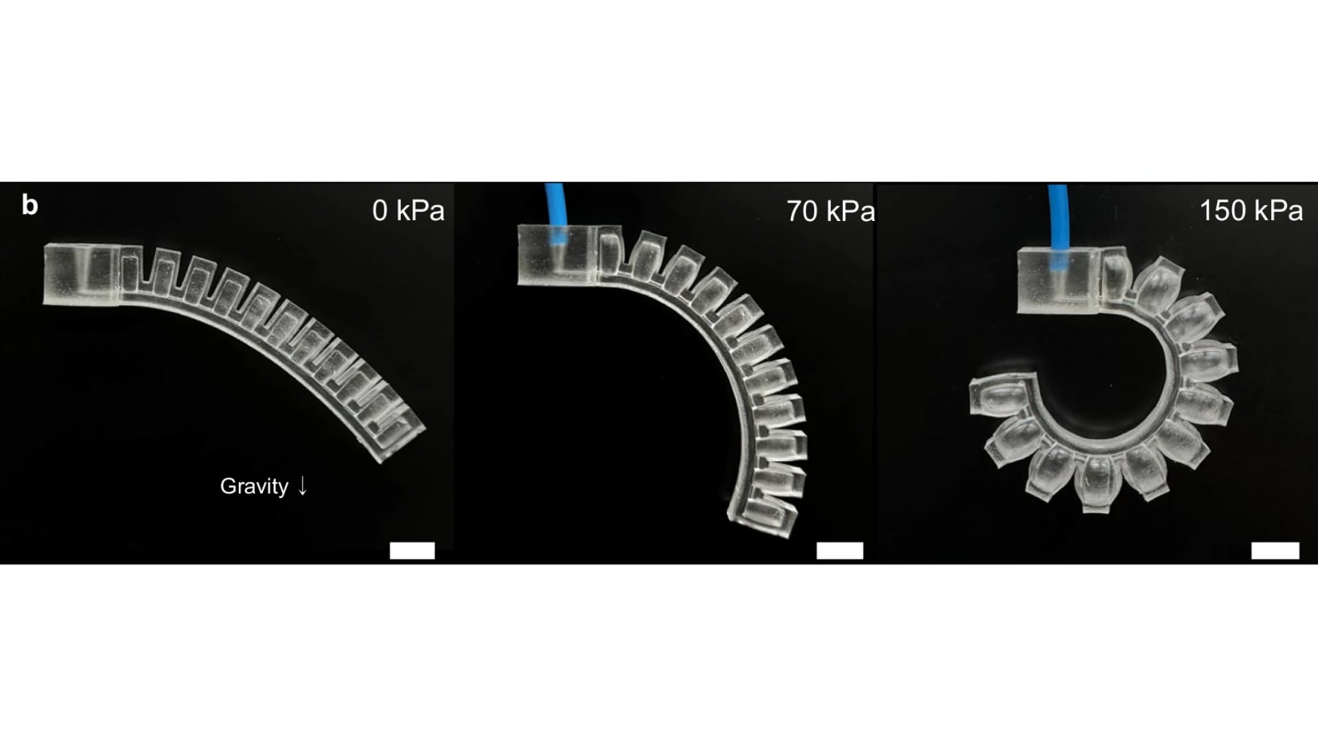 El nuevo material evita la fragilidad que suele afectar a los polímeros elásticos impresos en 3D. (Nature Coomunications)