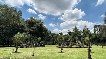 Viveros Coyoacán: por qué el parque estará cerrado hasta nuevo aviso