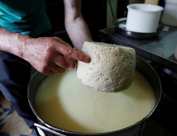 Los componentes de estos alimentos
