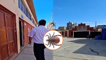 Imagen dividida muestra un hombre caminando junto a un edificio y un patio escolar, con un cielo azul; una garrapata 3D se superpone al centro