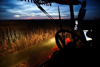 Foto de archivo - Una