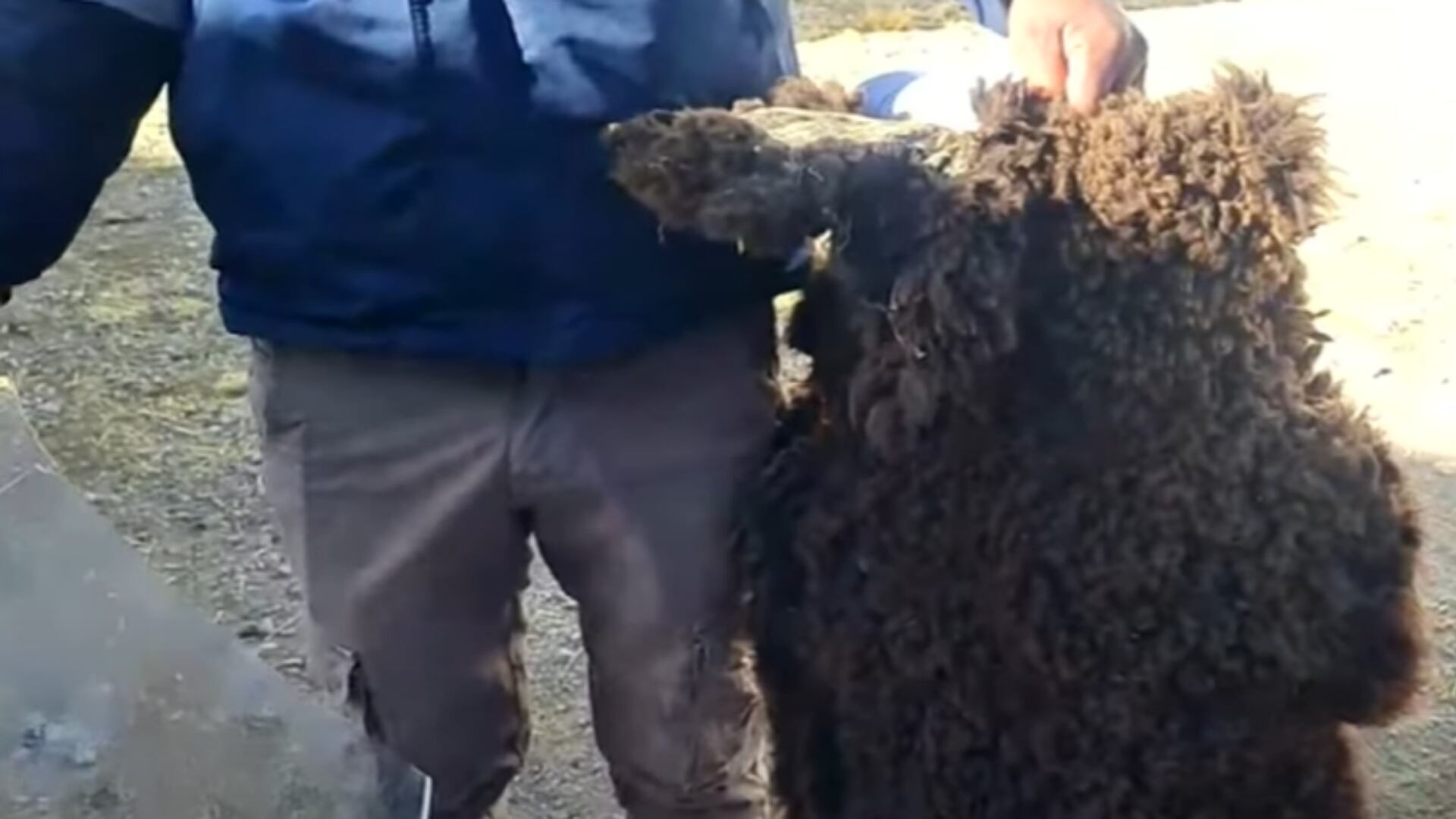 Alumnos de colegio en Arequipa estudian casi a 0° C en aulas prefabricadas. (Foto: Latina)