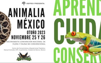 El evento Animalia 2023 presentará