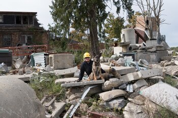 Besa fue la primera perra