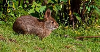 La interacción entre científicos y