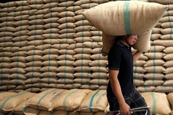os agricultores de Casanare redujeron el área de siembra como parte del compromiso asumido por el sector, pero continuaron enfrentando dificultades económicas - crédito Colprensa