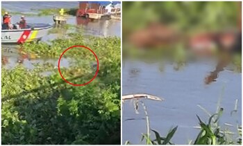 Al parecer el cuerpo del