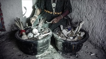 Primero los sacrificaban y luego