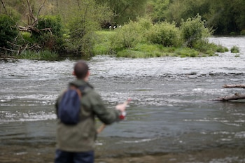 Un hombre durante el comienzo de la campaña de pesca de salmón, en el río Eo, a 13 de abril de 2025, en San Tirso de Abres, Asturias (España). (Carlos Castro/Europa Press)