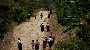 Especialista advirtió que estrategia de