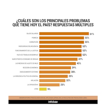 Monitor de Inseguridad Nº13 realizado