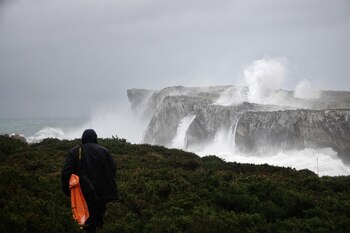 Imagen RZJ5G3NE7REA5G4RWA23TOYCDI