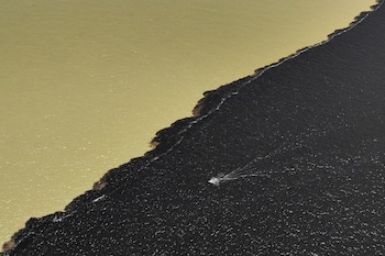 El río Amazonas alcanza hasta 11 kilómetros de ancho en algunos tramos y su desembocadura forma un delta de unos 320 kilómetros (REUTERS/Jorge Silva)