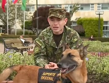 Este tipo de interacción es