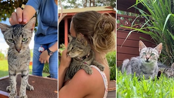 La inspiradora labor del Lanai