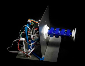 Mano robótica blanda desarrollada por