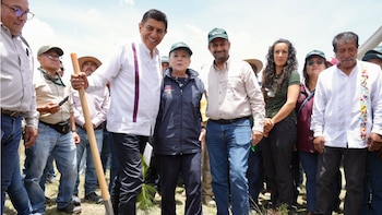 México planta 3 mil árboles en Oaxaca en el marco del Día del Árbol: estado concentra 83 proyectos forestales. (Foto: Gob. Oaxaca)