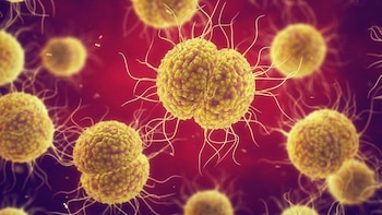 Nuevo cuello uterino en chip podría revolucionar el tratamiento de las ITS