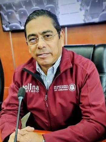Juan Manuel Molina argumenta que juicio contra Marina del Pilar corresponde al Congreso de la Unión.