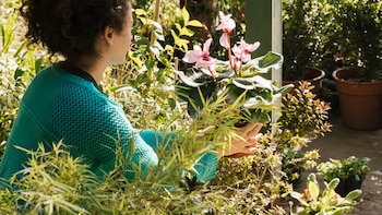 Un estudio revela que tener un jardín en casa puede reducir hasta en un 21% el riesgo de Alzheimer