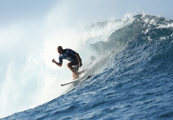La conciencia ambiental y la