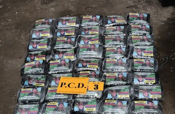 Los agentes decomisaron 524 paquetes de marihuana, cada uno con un peso aproximado de 500 gramos, para un total superior a 250 kilos. Crédito: MSP