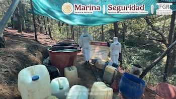 Narcolaboratorios en Durango