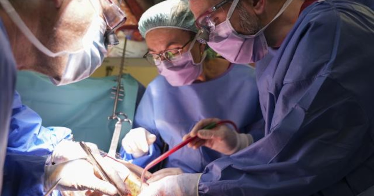 hospital universitario de bellvitge