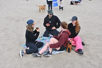 Mar del Plata lidera en